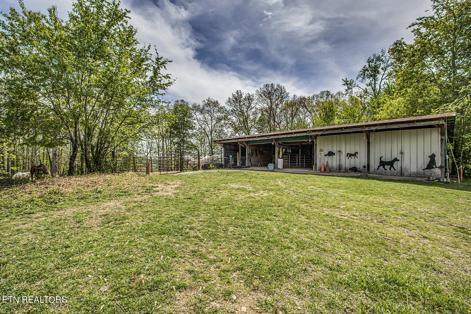 223 Reed Road Ten Mile TN 37880