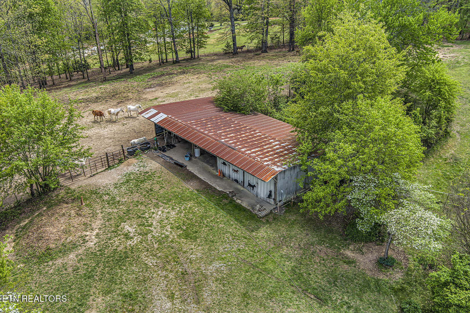 223 Reed Road Ten Mile TN 37880