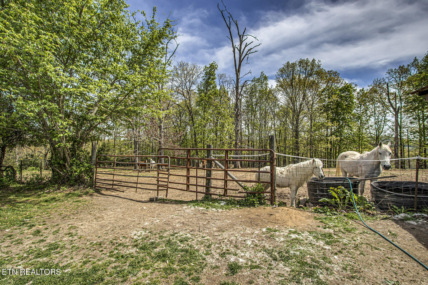 223 Reed Road Ten Mile TN 37880