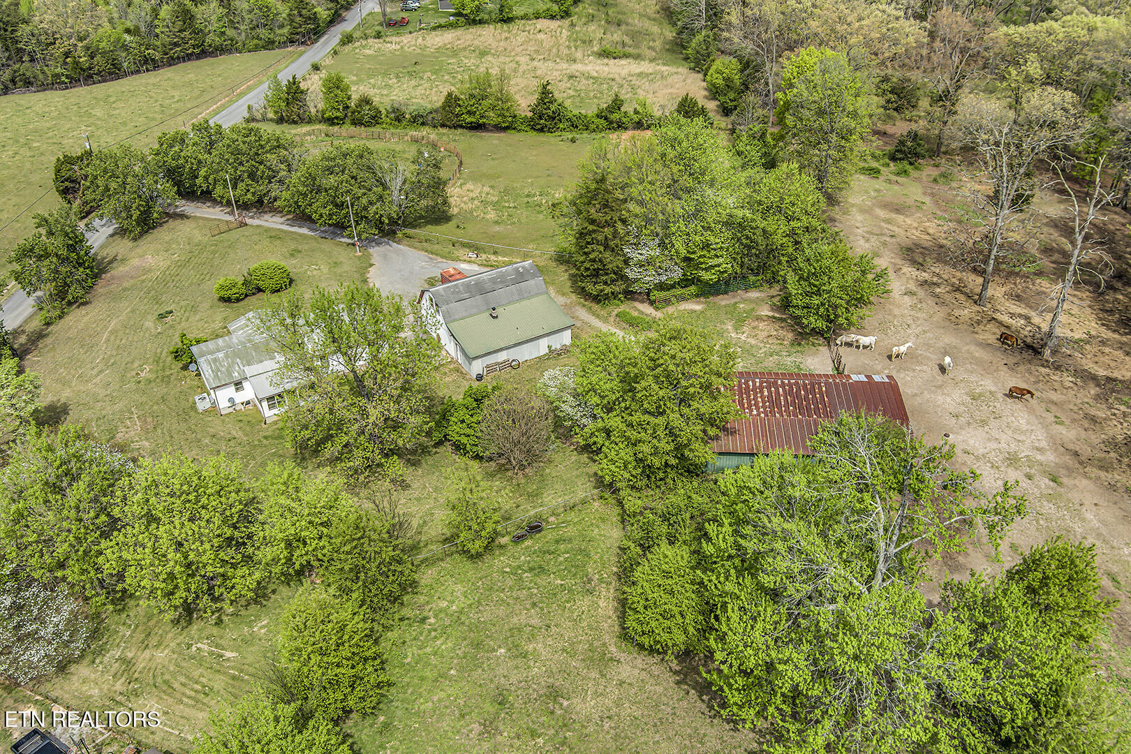 223 Reed Road Ten Mile TN 37880