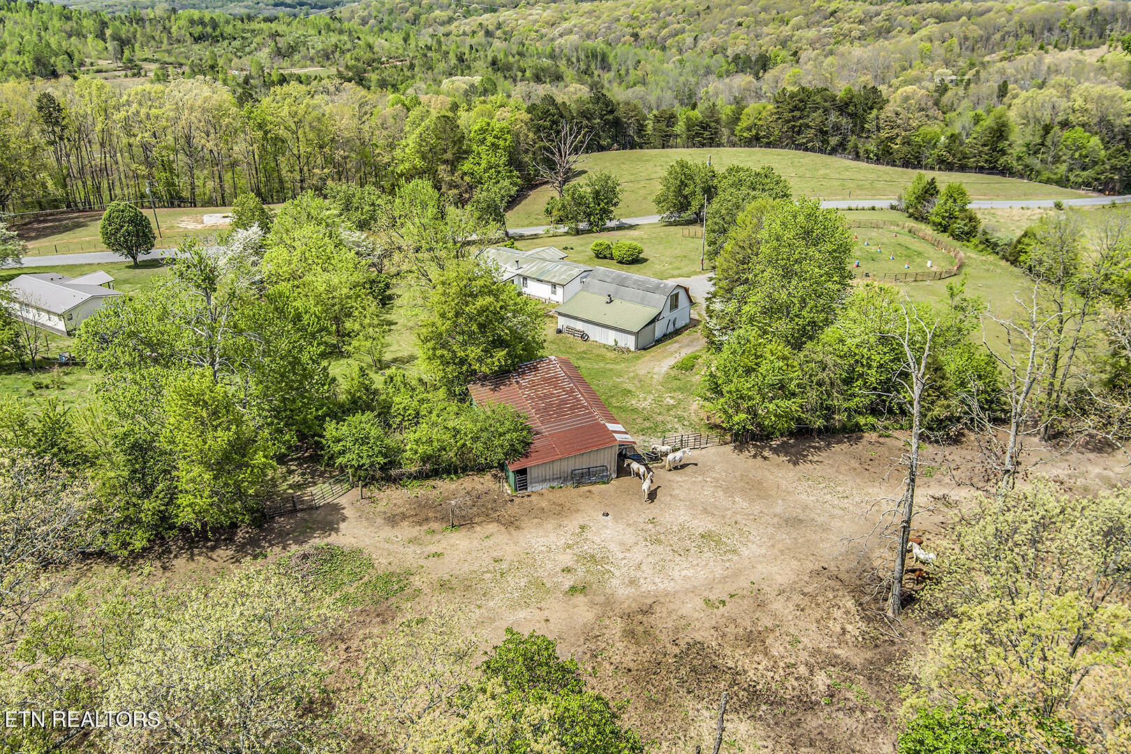 223 Reed Road Ten Mile TN 37880