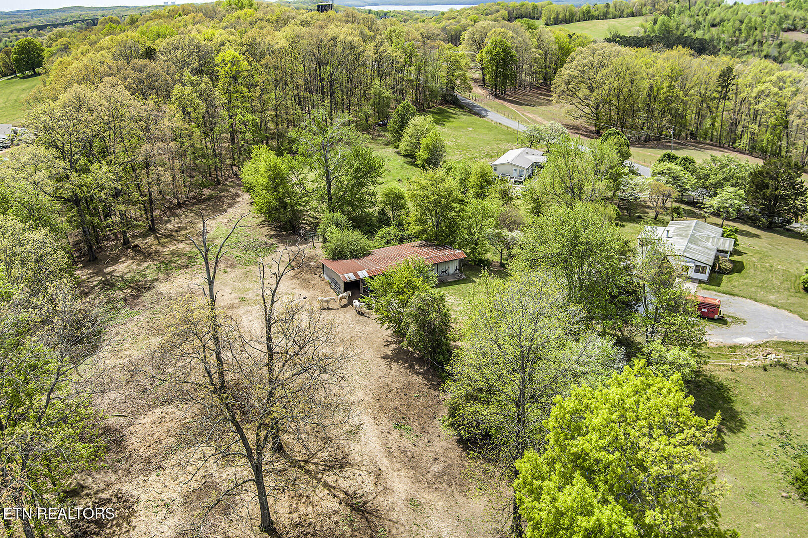 223 Reed Road Ten Mile TN 37880