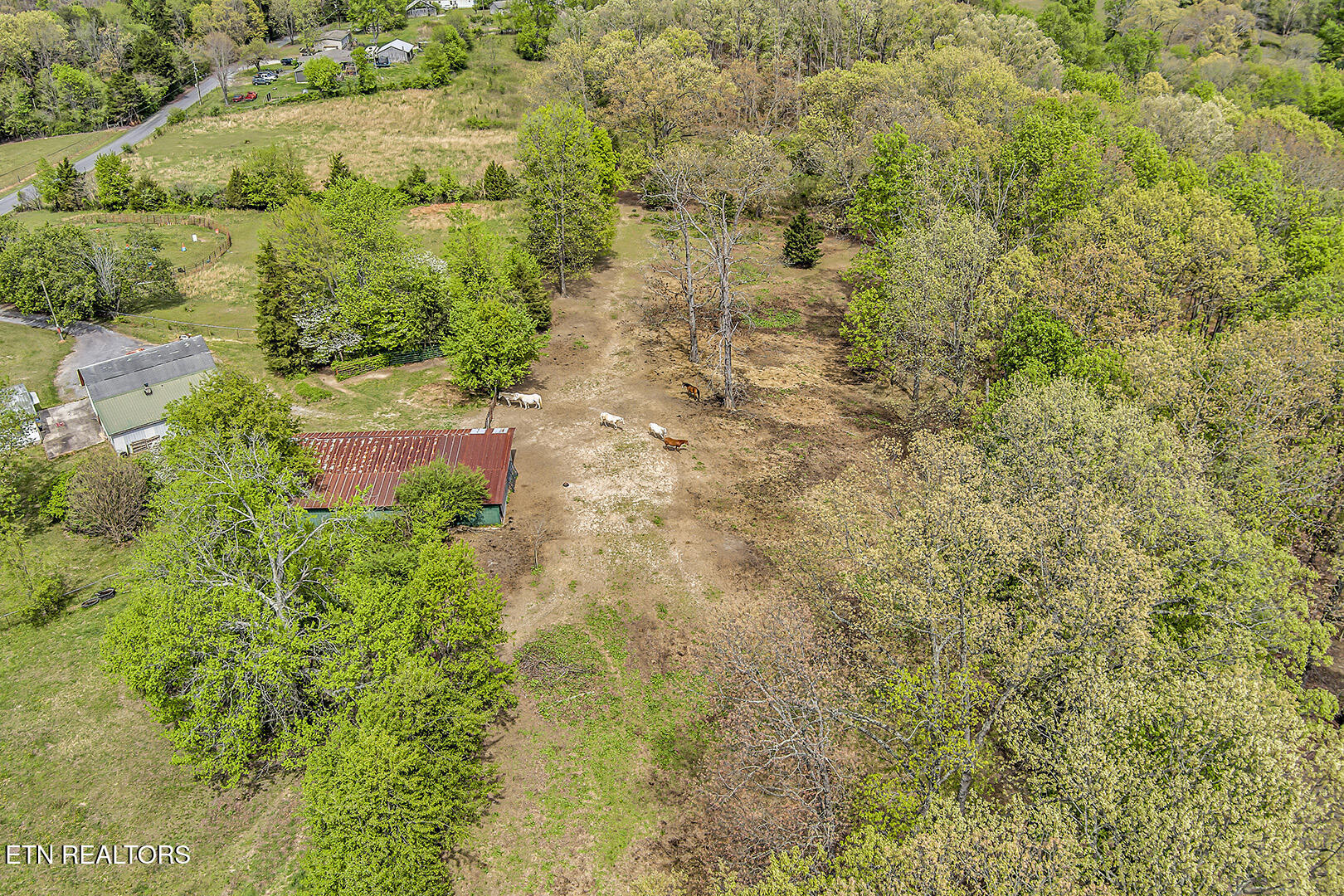 223 Reed Road Ten Mile TN 37880