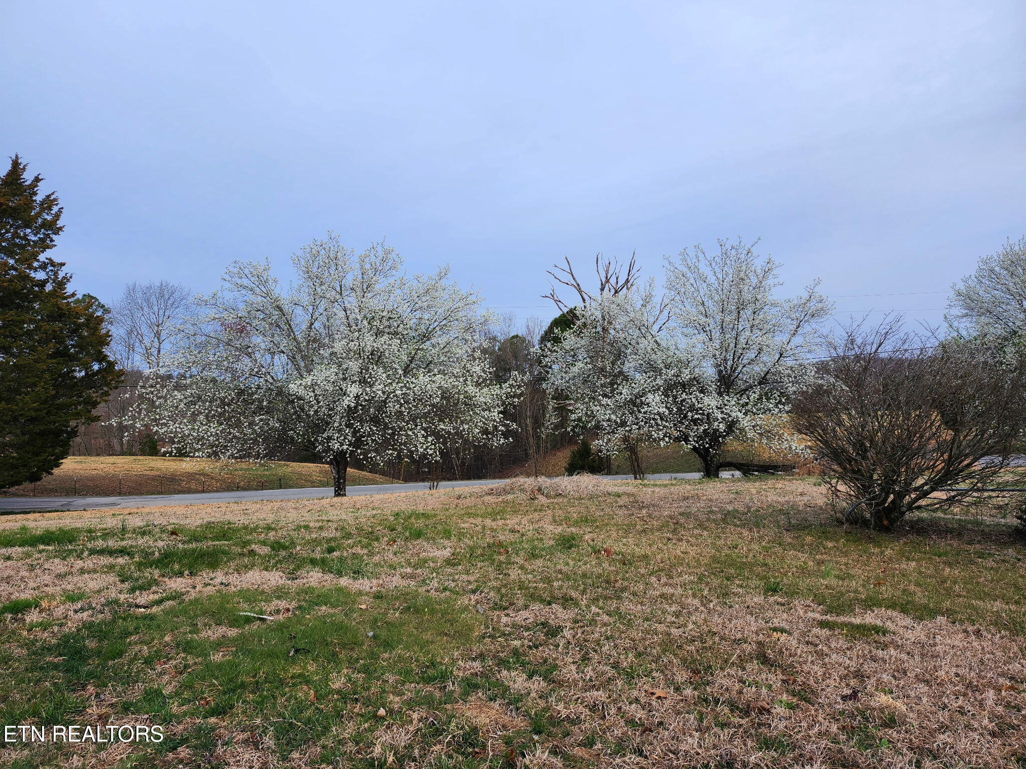 223 Reed Road Ten Mile TN 37880