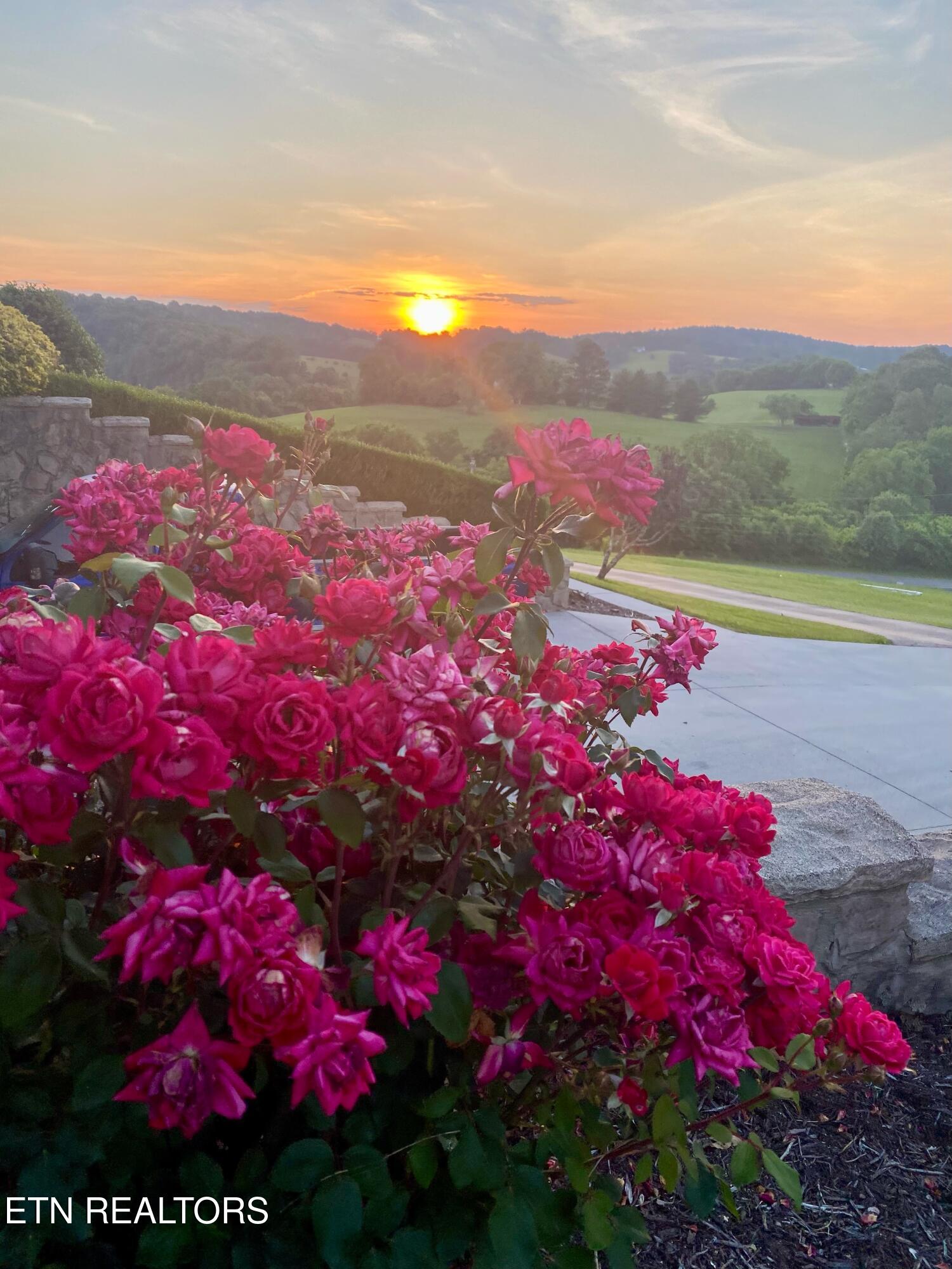 1743 Holston River Drive Rutledge TN 37861