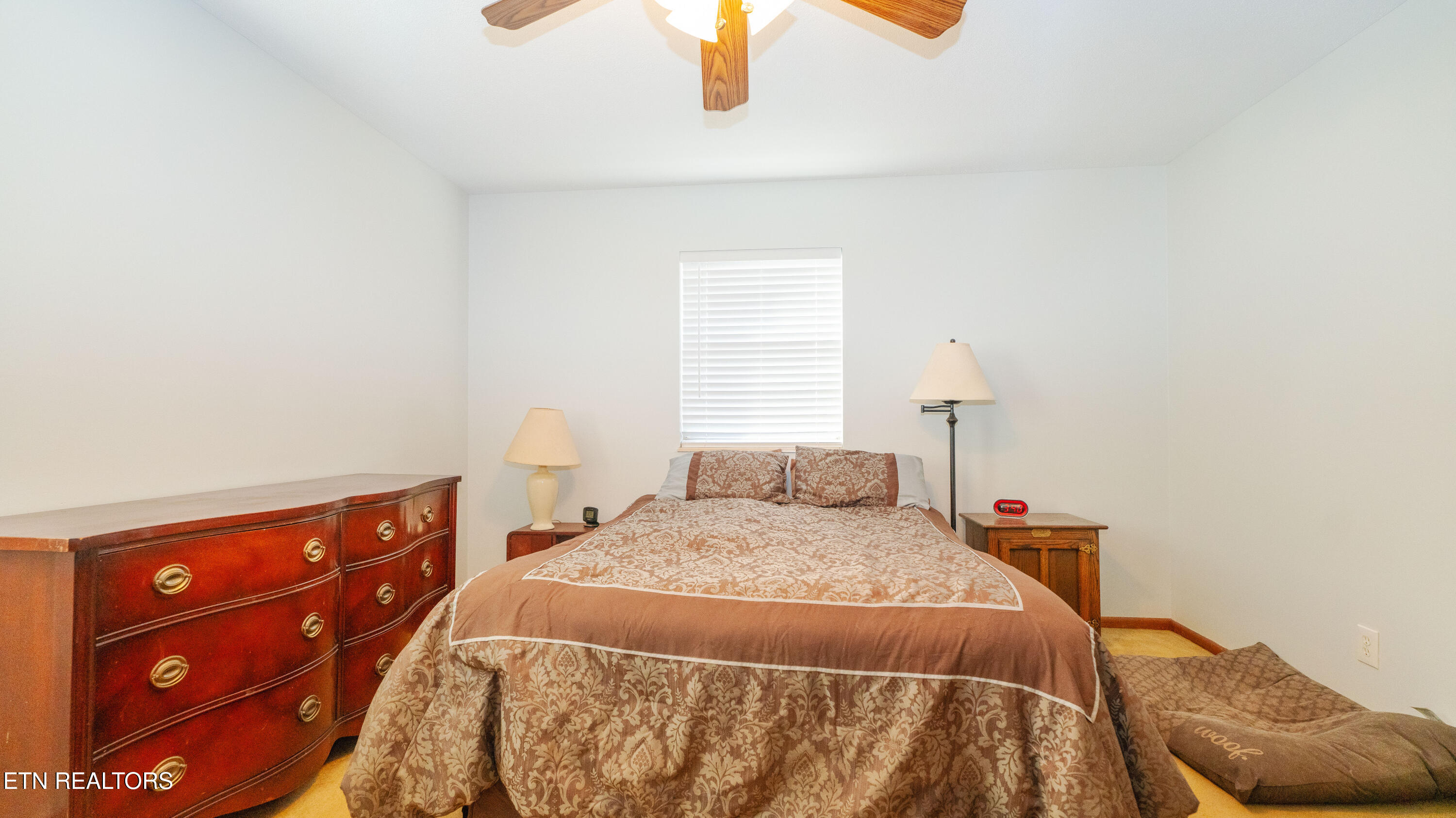 501 Cimarron Trail Knoxville TN 37919