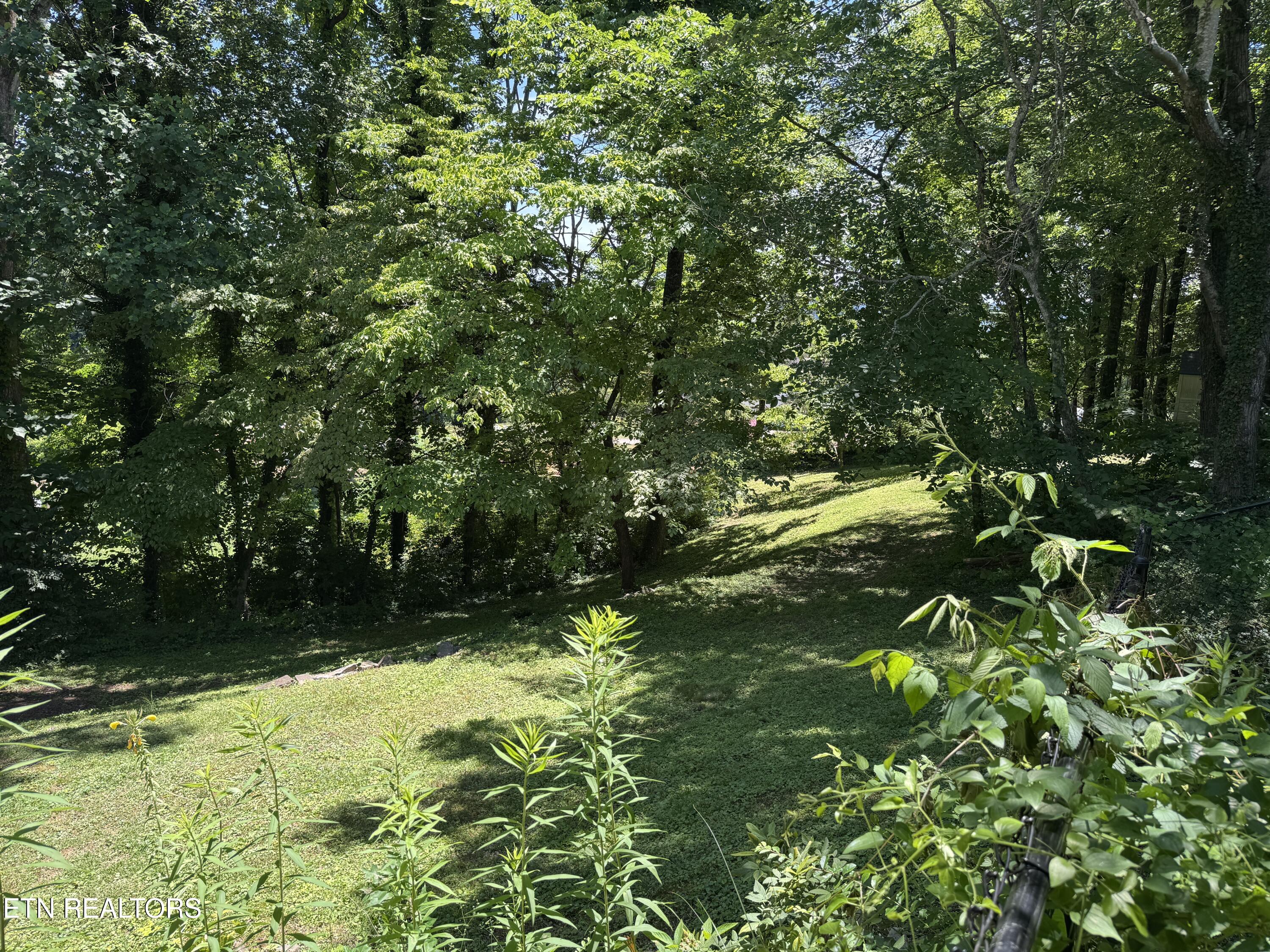 126 Westwood Drive Clinton TN 37716
