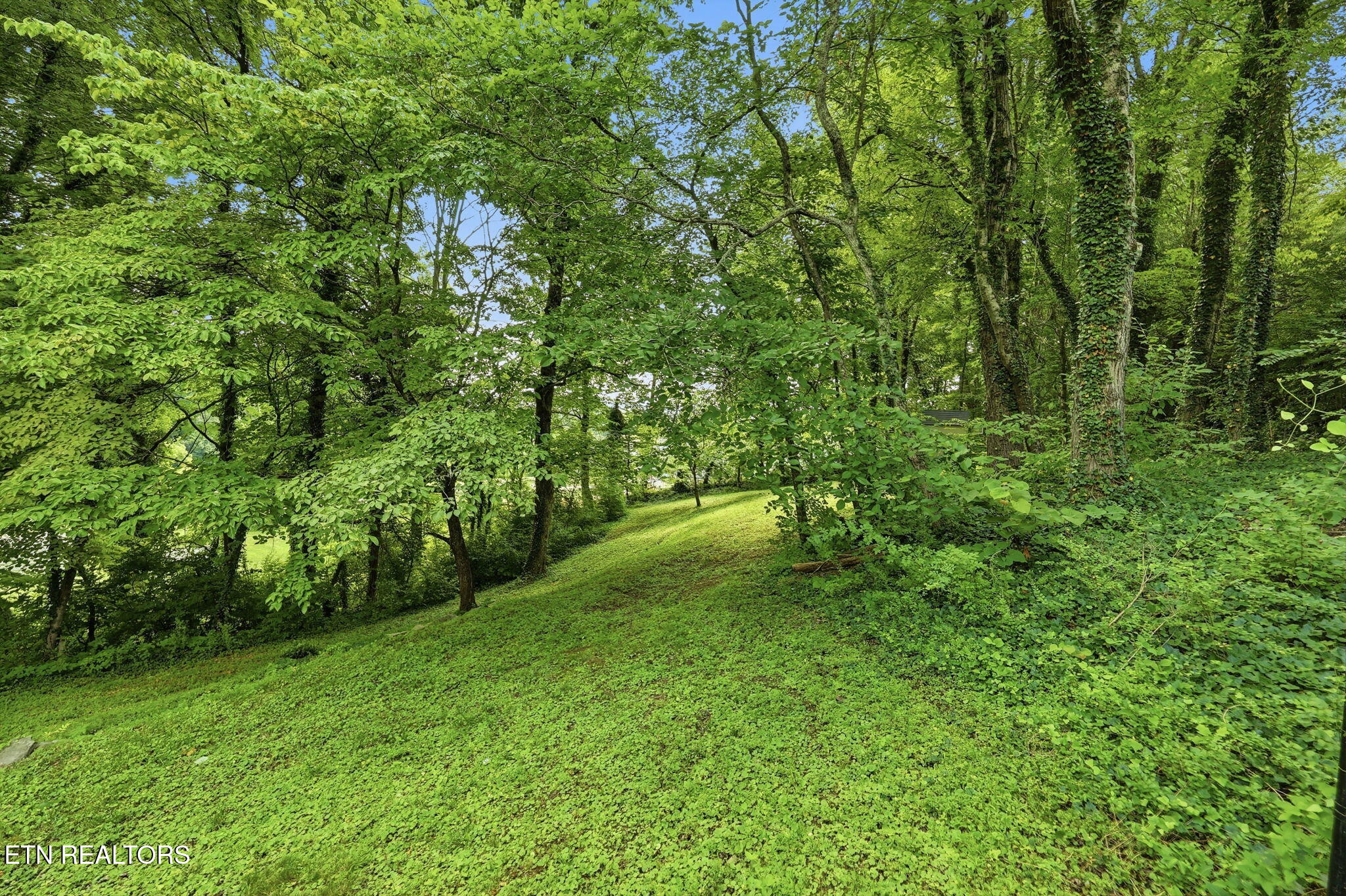 126 Westwood Drive Clinton TN 37716