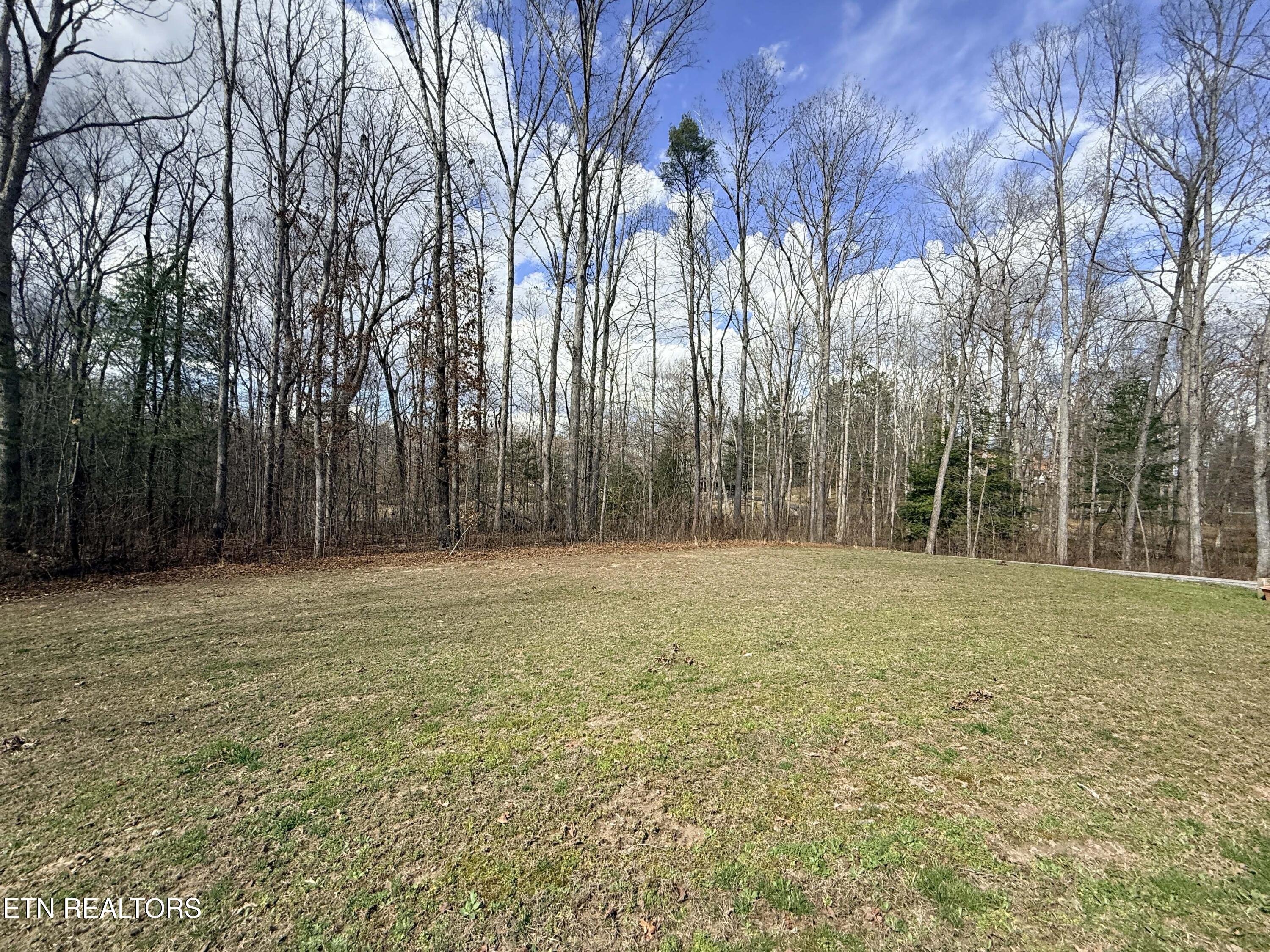 1063 Circle Drive Jamestown TN 38556