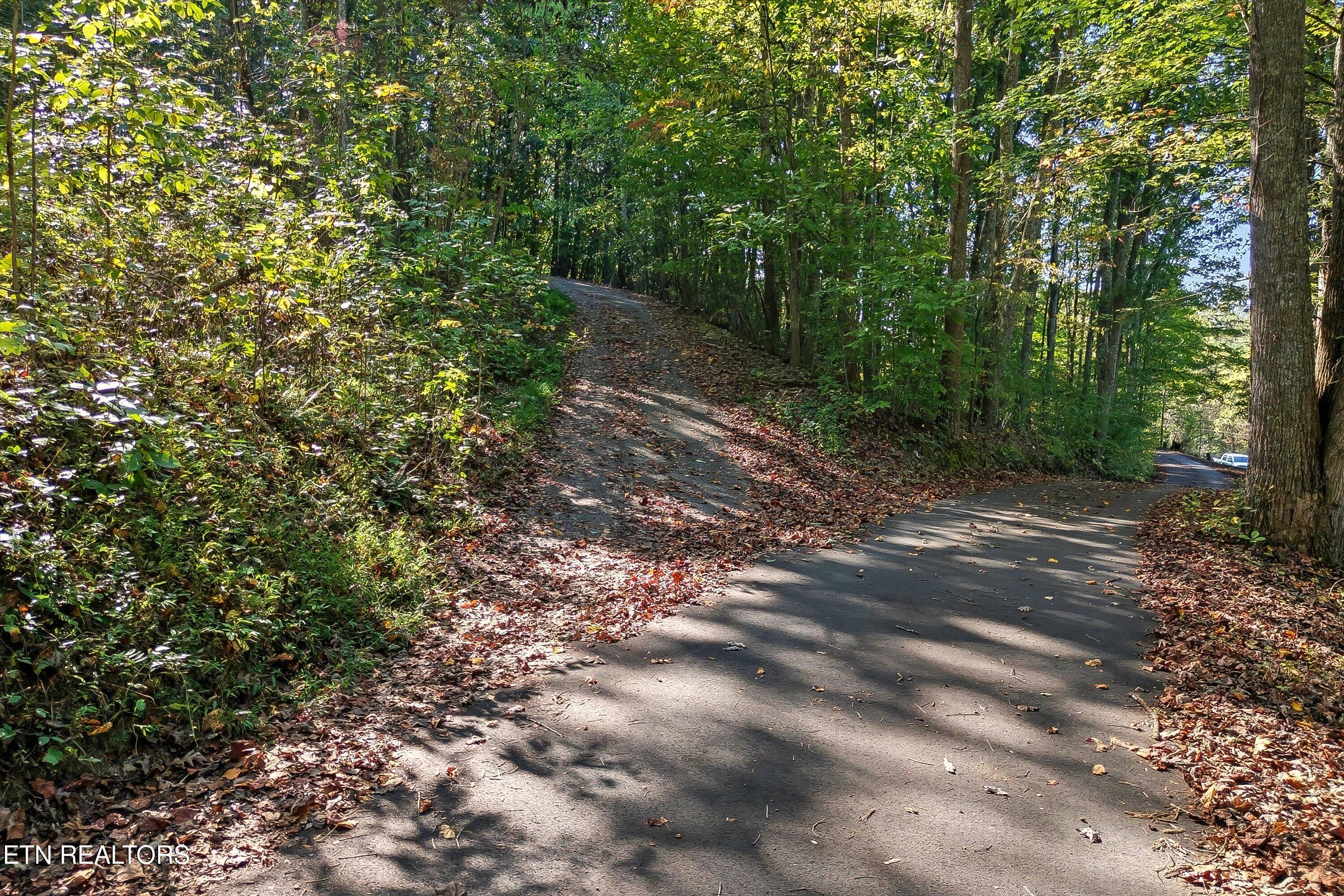 7112 Warren Lane Corryton TN 37721