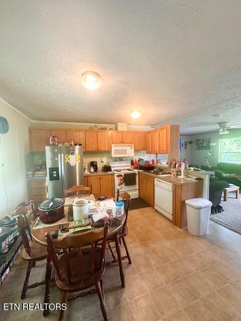 14021 Peach Stone Crawford TN 38554