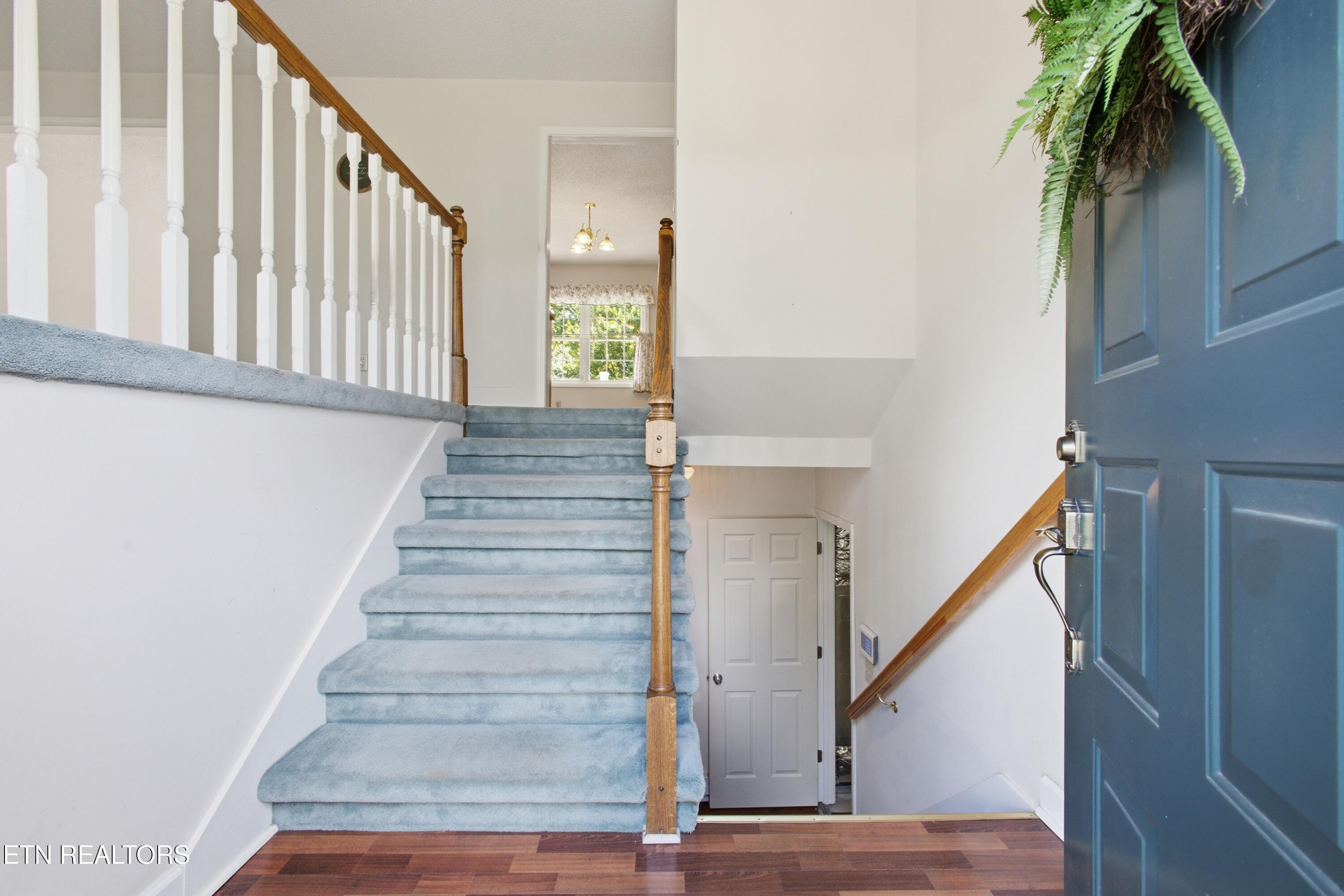 34 Shane Street Greeneville TN 37743