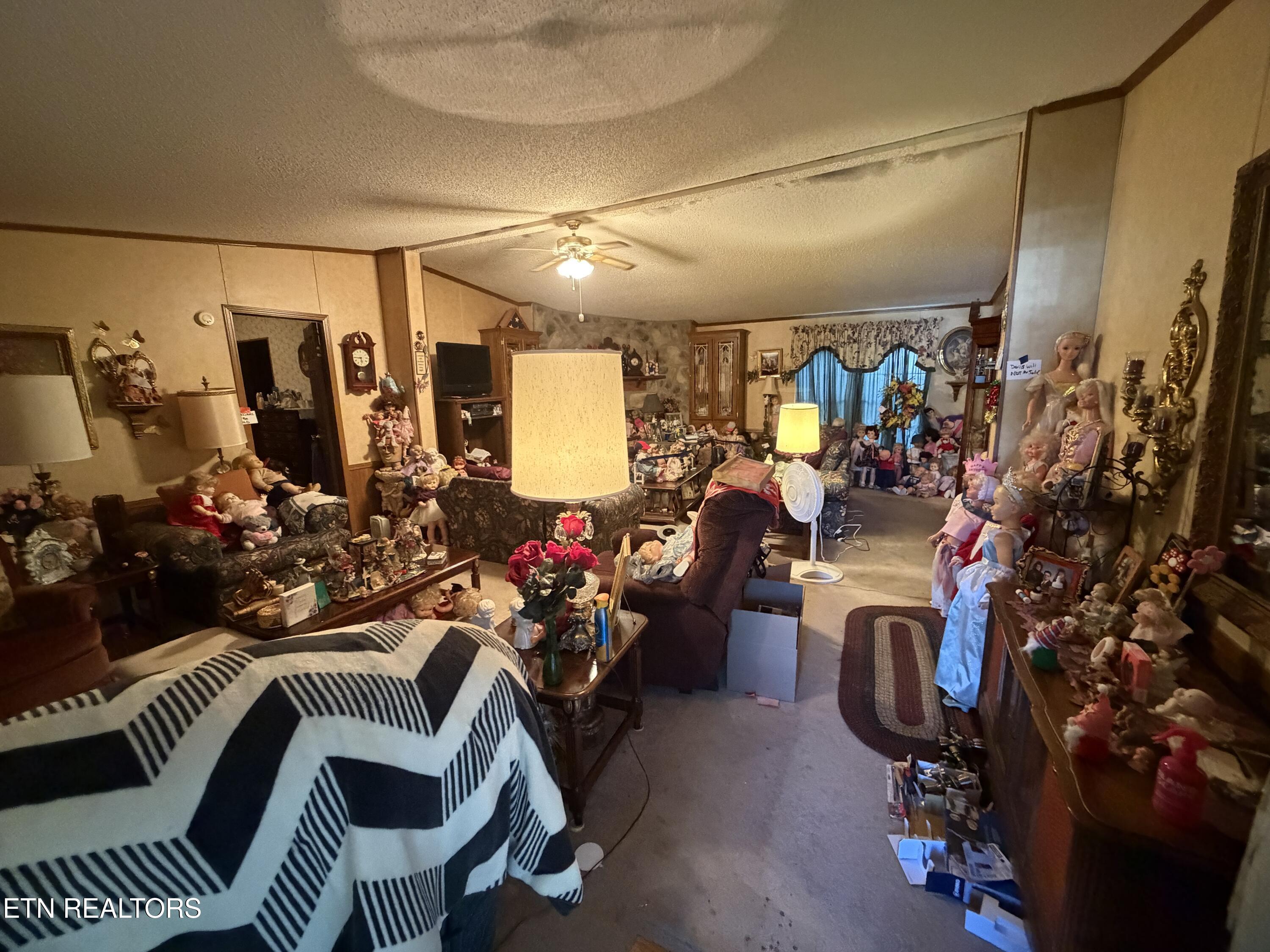205 Hillcrest Avenue Rocky Top TN 37769