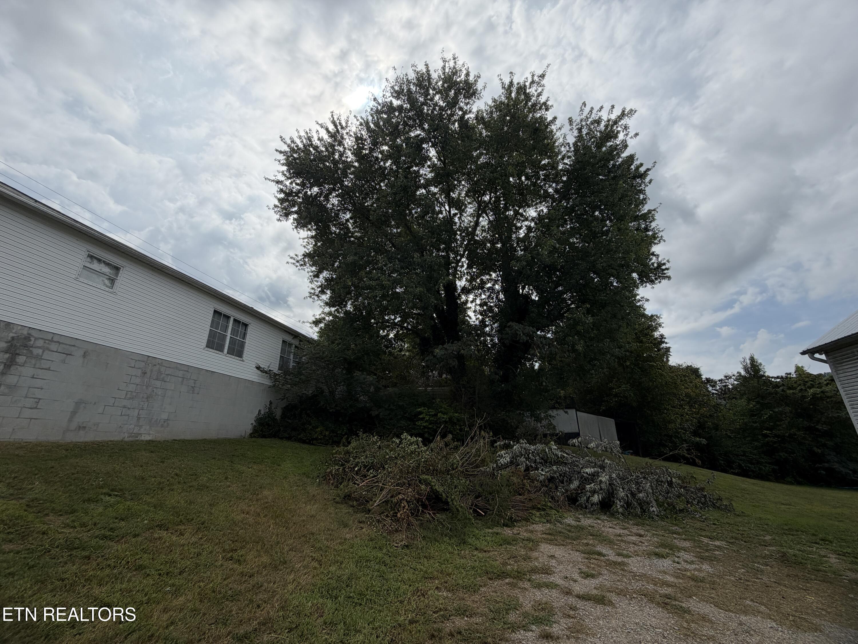 205 Hillcrest Avenue Rocky Top TN 37769