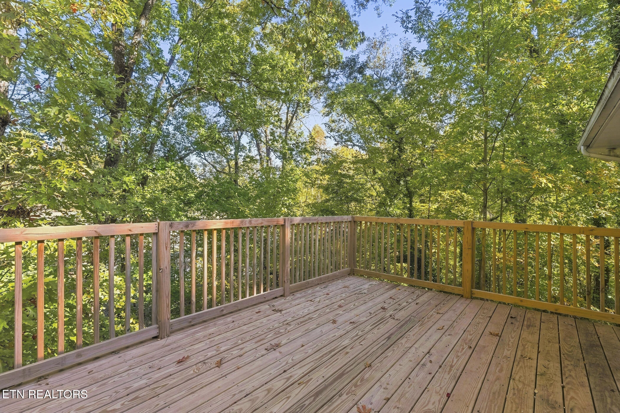 3537 Raines Lane Knoxville TN 37920