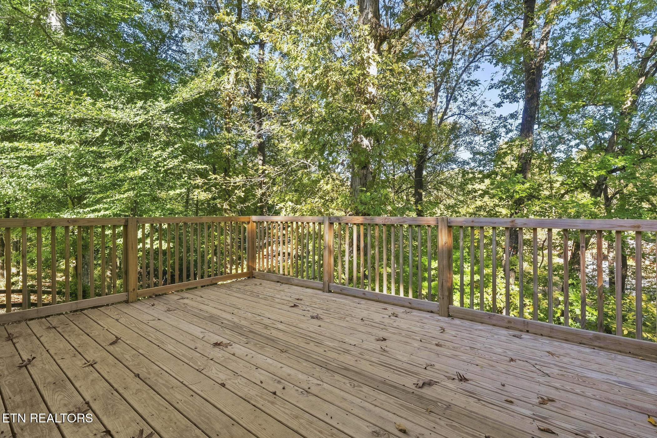3537 Raines Lane Knoxville TN 37920