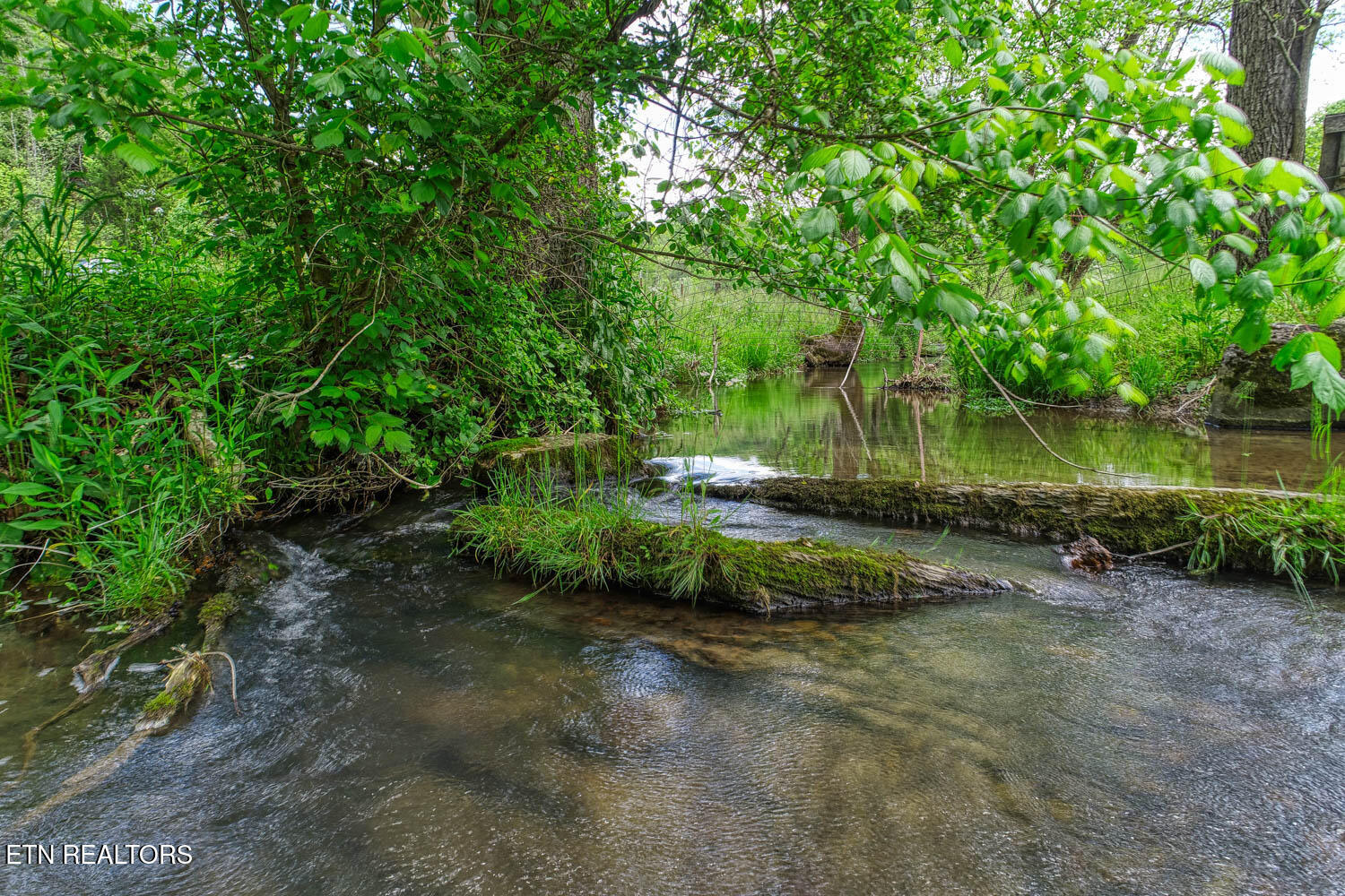 833 Duck Creek Road Sneedville TN 37869