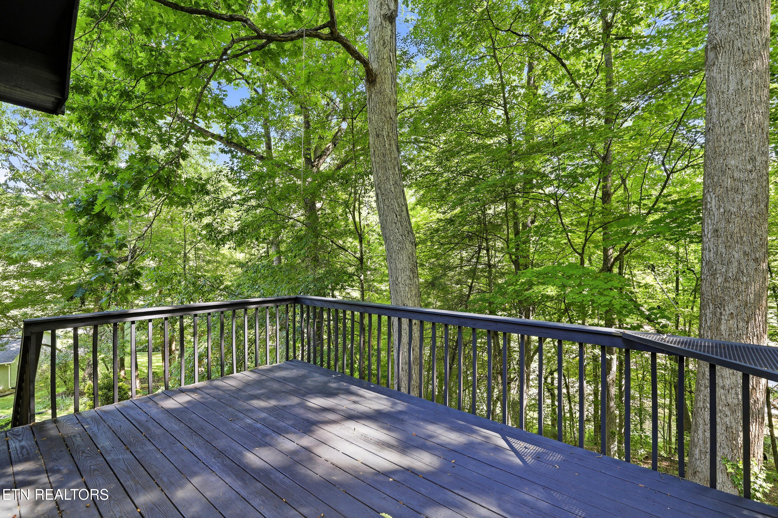 141 Milligan Lane Clinton TN 37716