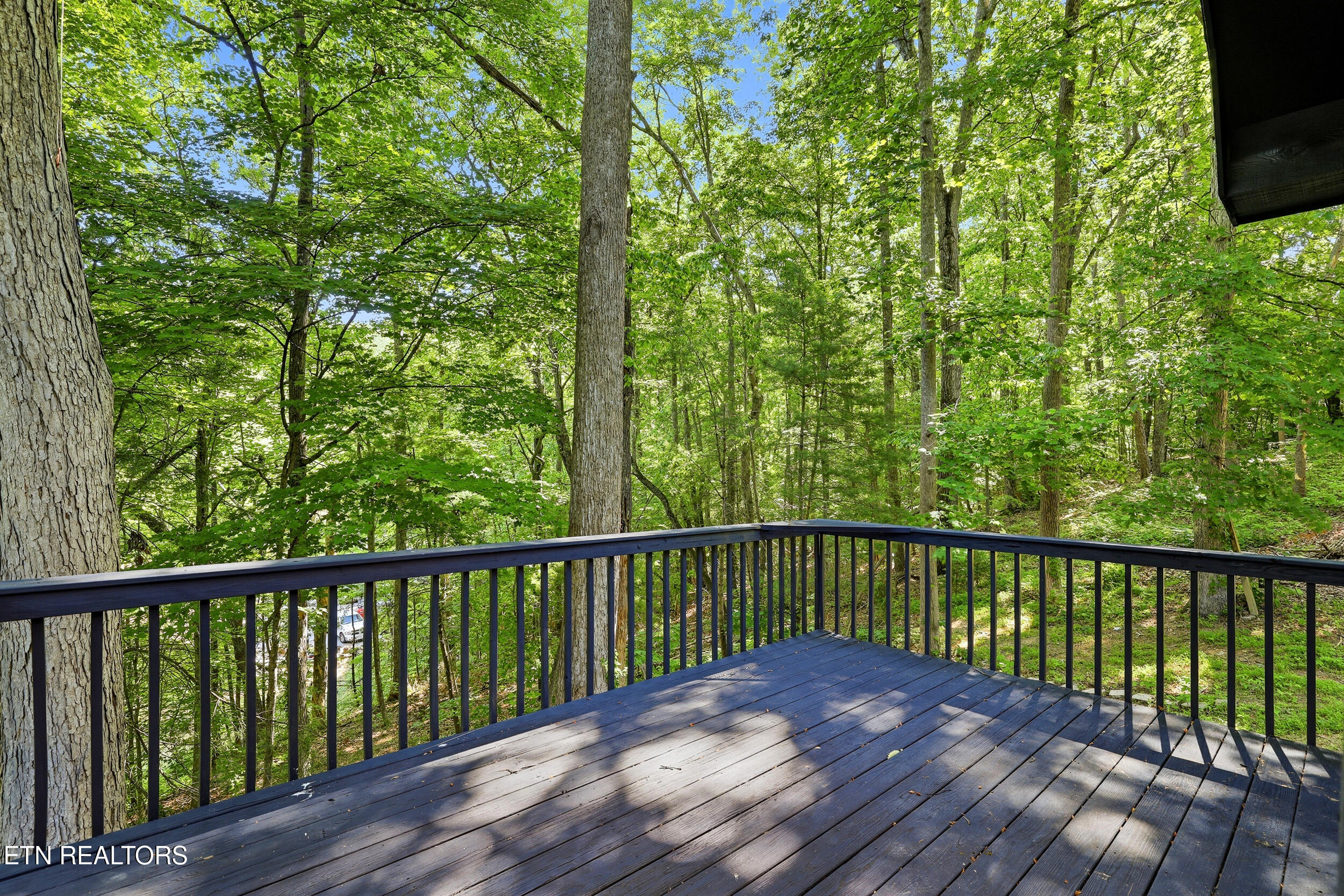 141 Milligan Lane Clinton TN 37716