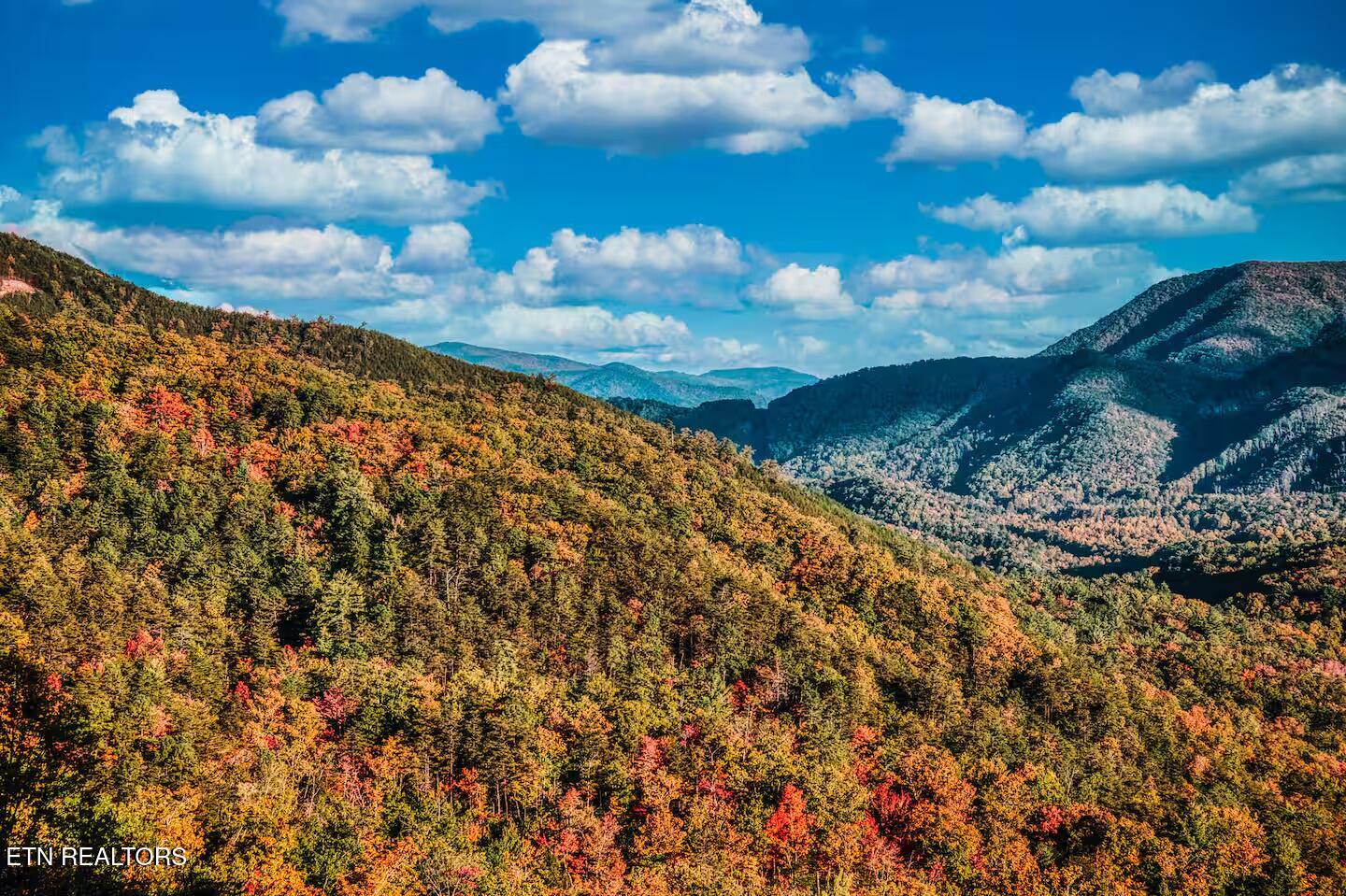 1258 Bird Nest Way Sevierville TN 37862