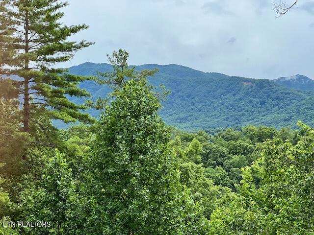 228 Ace Gap Road Townsend TN 37882