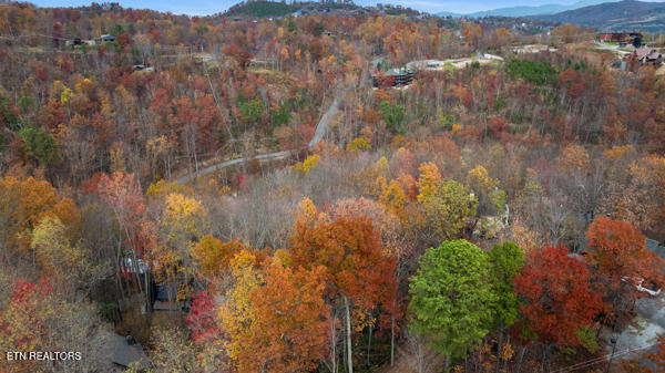 887 Holly Branch Road Gatlinburg TN 37738