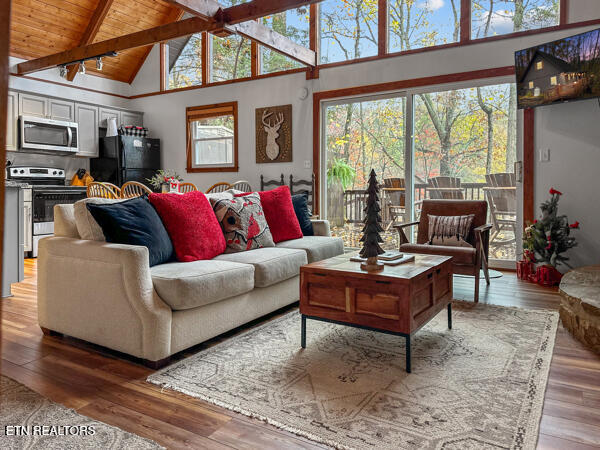 887 Holly Branch Road Gatlinburg TN 37738