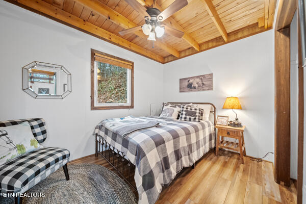 887 Holly Branch Road Gatlinburg TN 37738