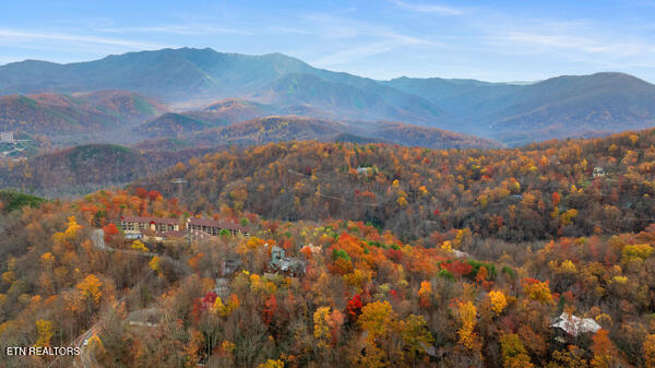 887 Holly Branch Road Gatlinburg TN 37738