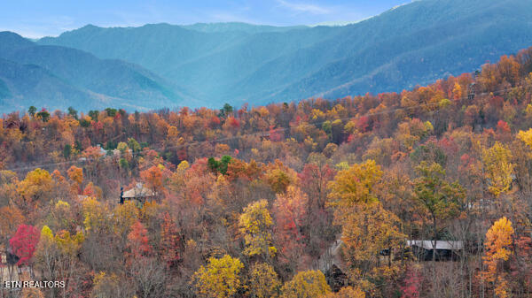 887 Holly Branch Road Gatlinburg TN 37738
