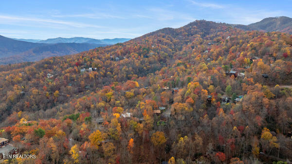 887 Holly Branch Road Gatlinburg TN 37738