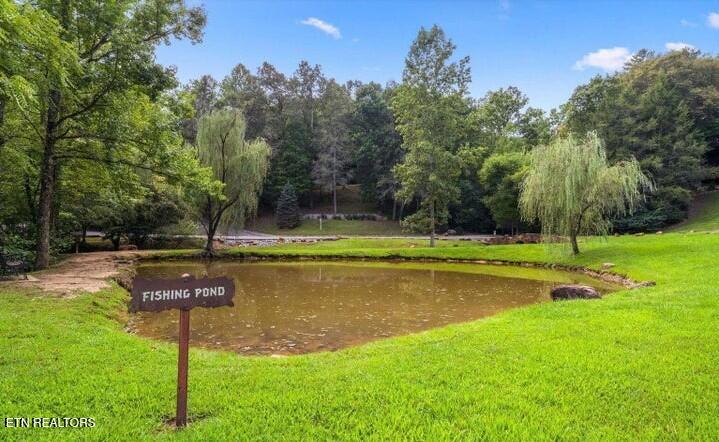 2910 Piney Ridge Way Sevierville TN 37862