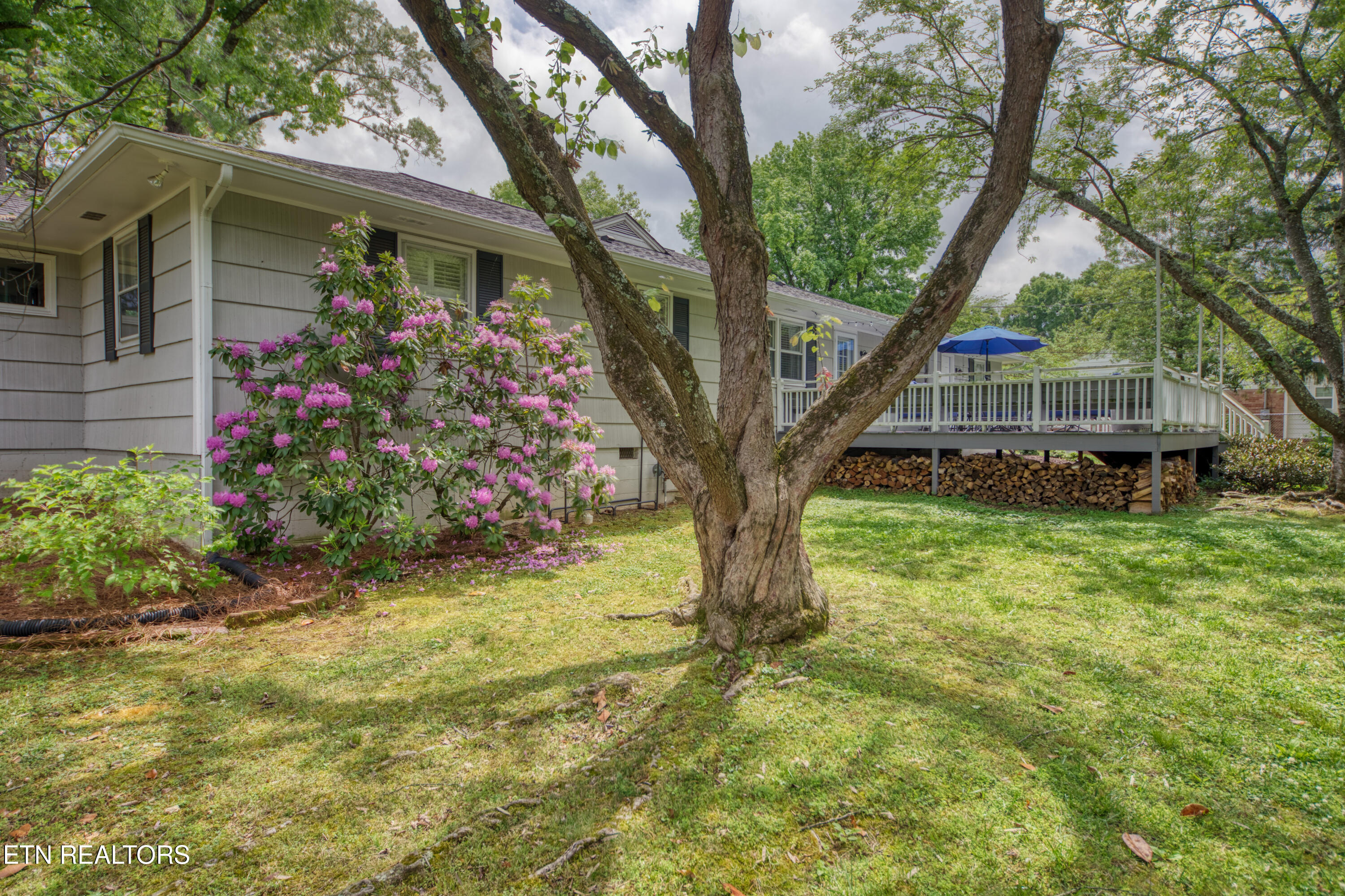 6903 Sheffield Drive Knoxville TN 37909