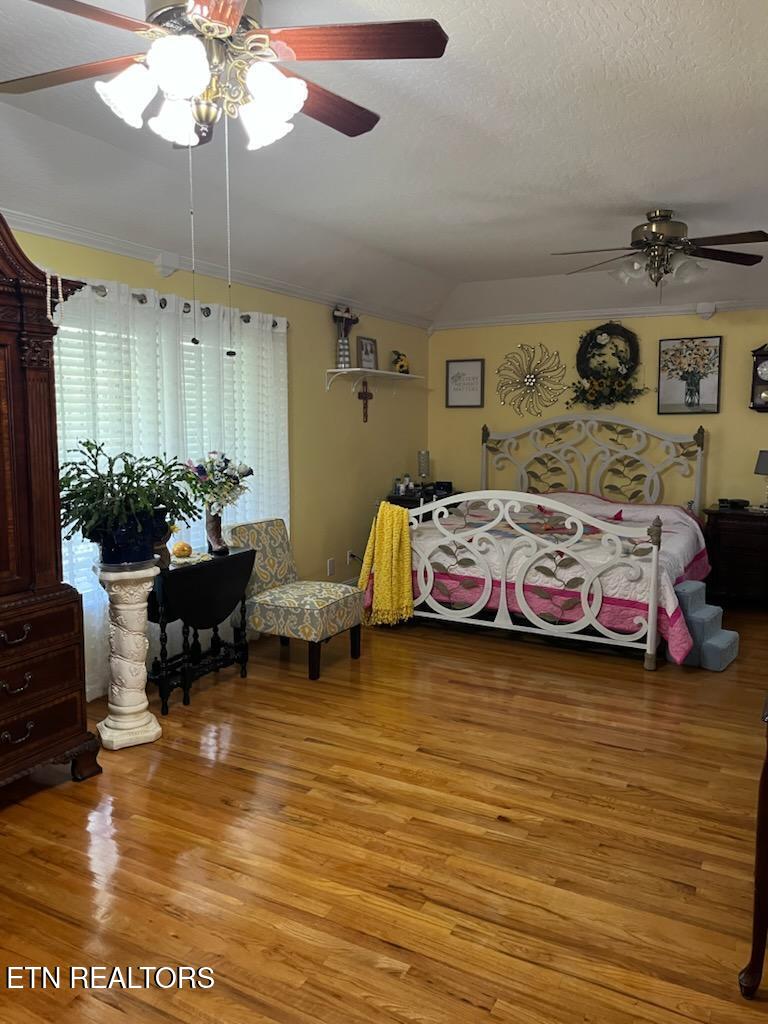 240 Indian Creek Road Jacksboro TN 37757