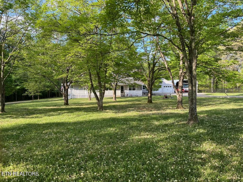 240 Indian Creek Road Jacksboro TN 37757