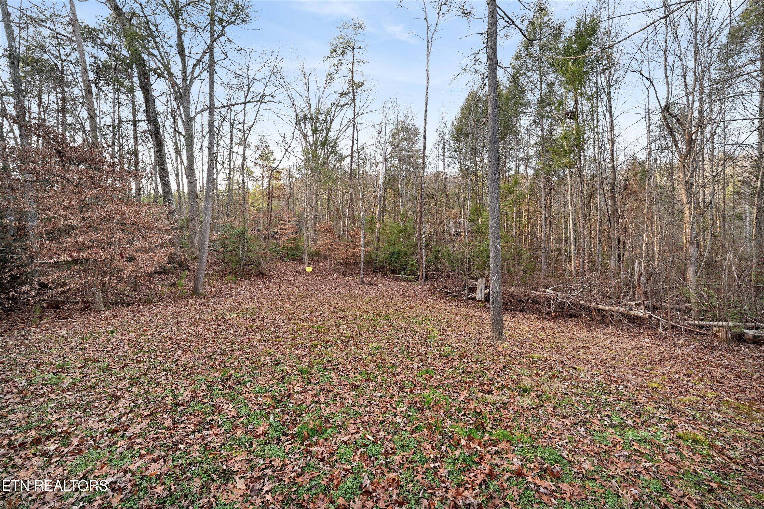 2116 Cub Circle Sevierville TN 37862