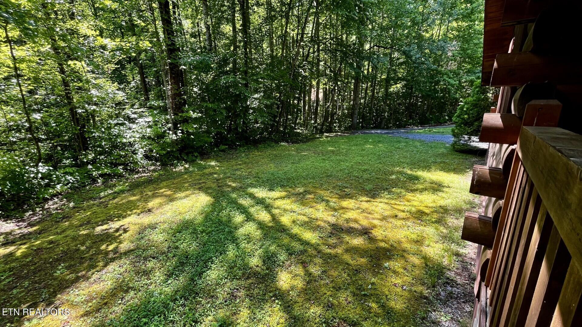 2950 Grassy Branch Loop Sevierville TN 37876