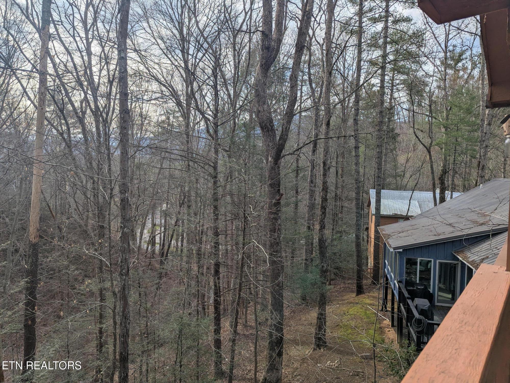 114 Cutter Gap Road Townsend TN 37882