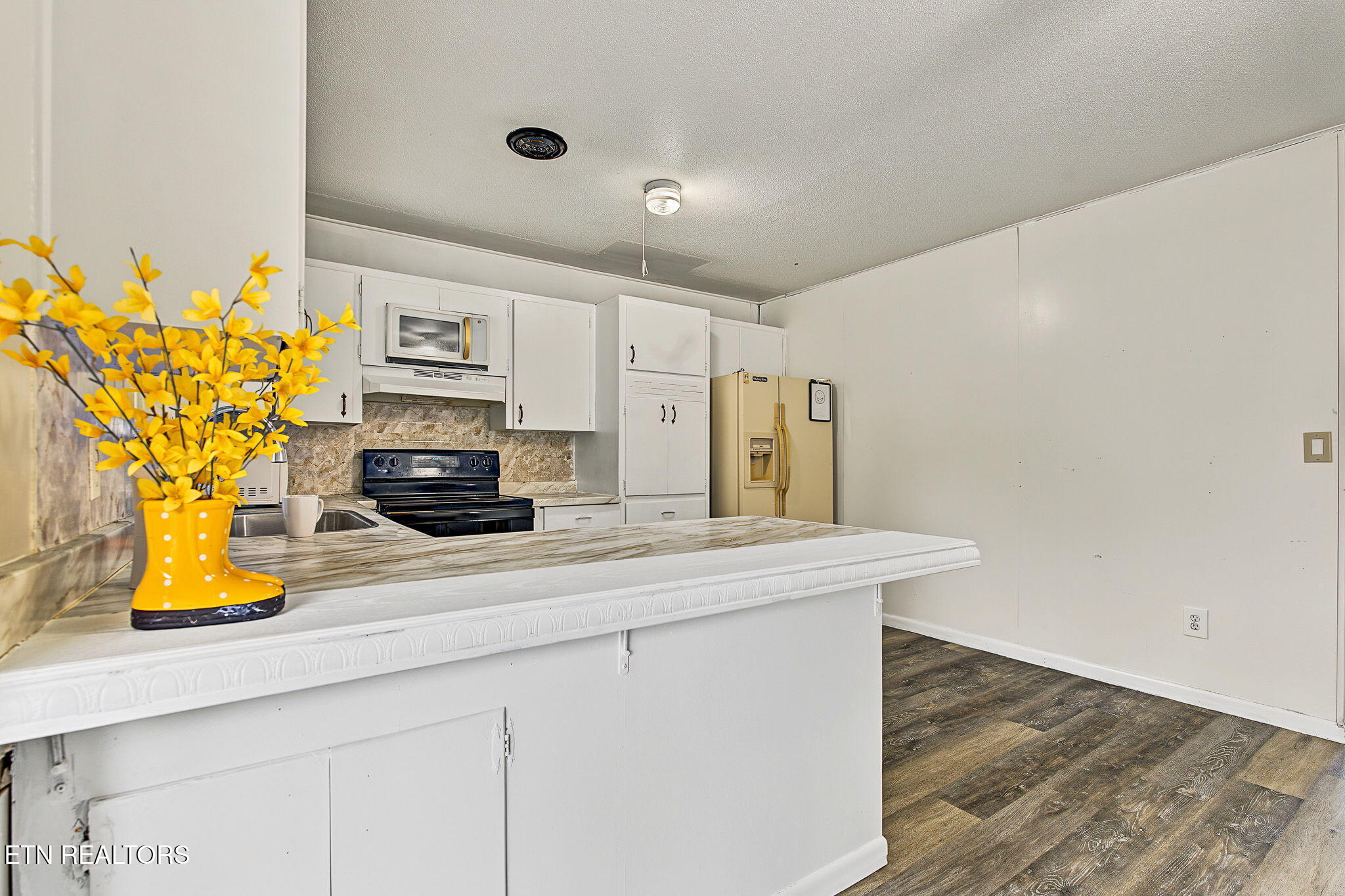 233 Estate Drive Sevierville TN 37862