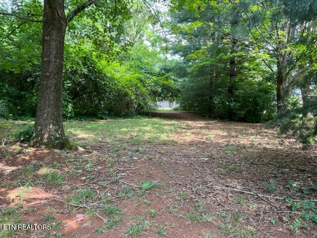 1309 Willmann Lane Knoxville TN 37919