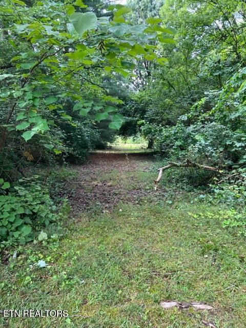 1309 Willmann Lane Knoxville TN 37919