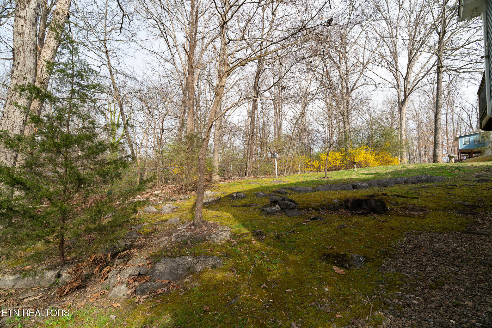 1505 Timber Trail Newport TN 37821