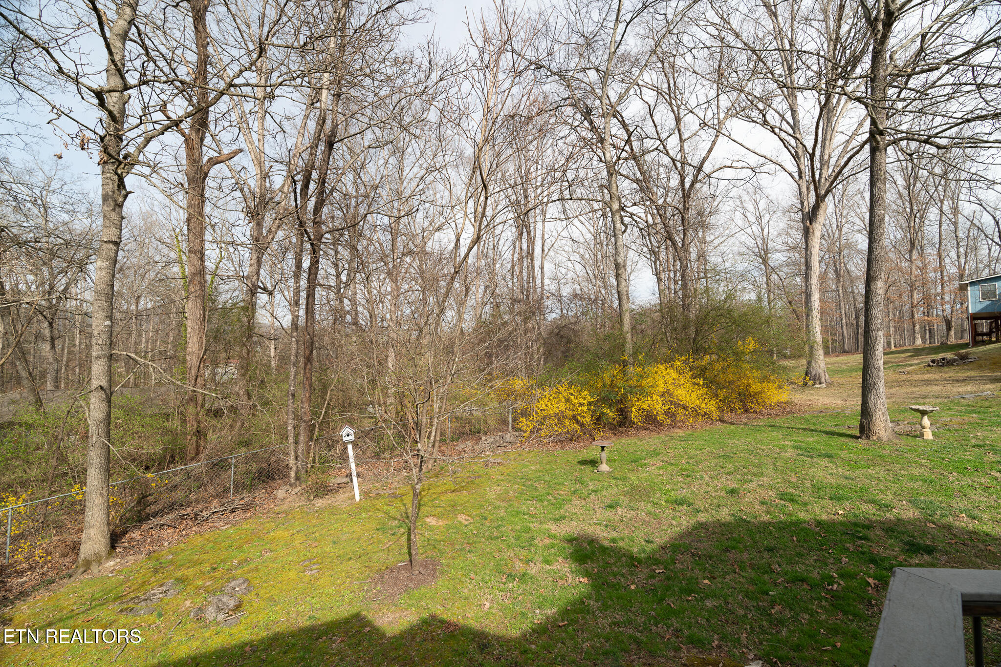 1505 Timber Trail Newport TN 37821