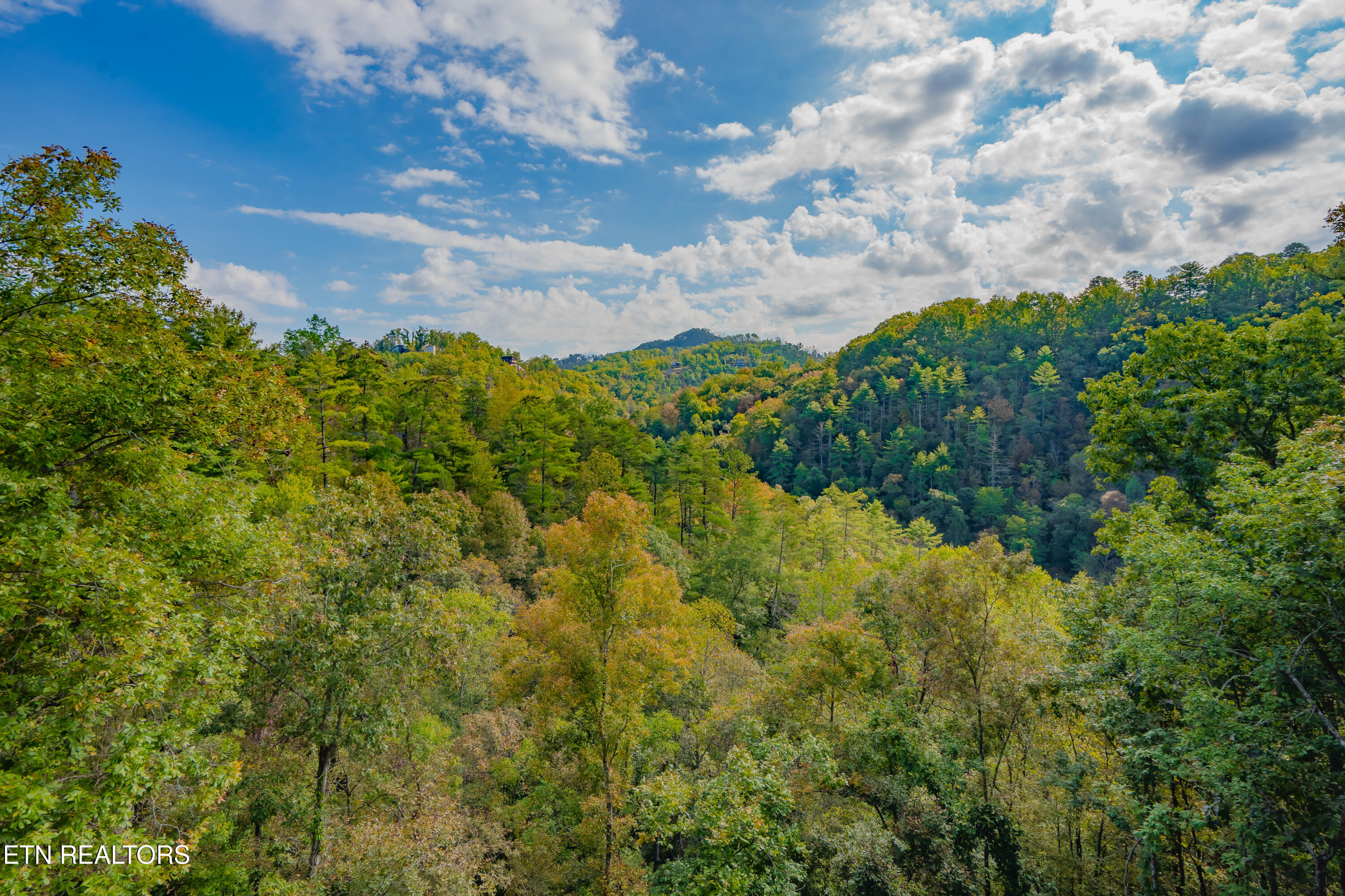 3009 Meadow View Road Sevierville TN 37862