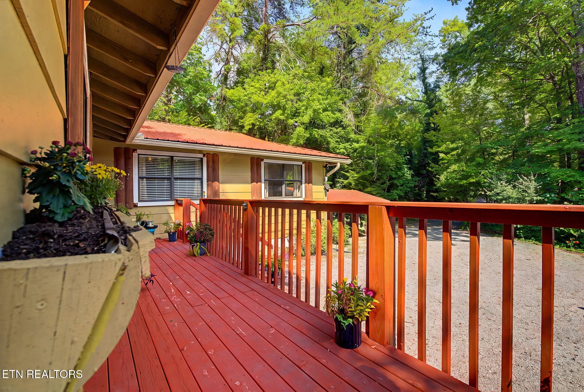 2136 Daisy Trail Pigeon Forge TN 37863