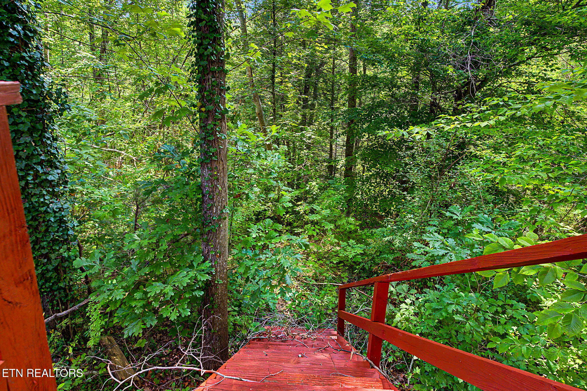 2136 Daisy Trail Pigeon Forge TN 37863