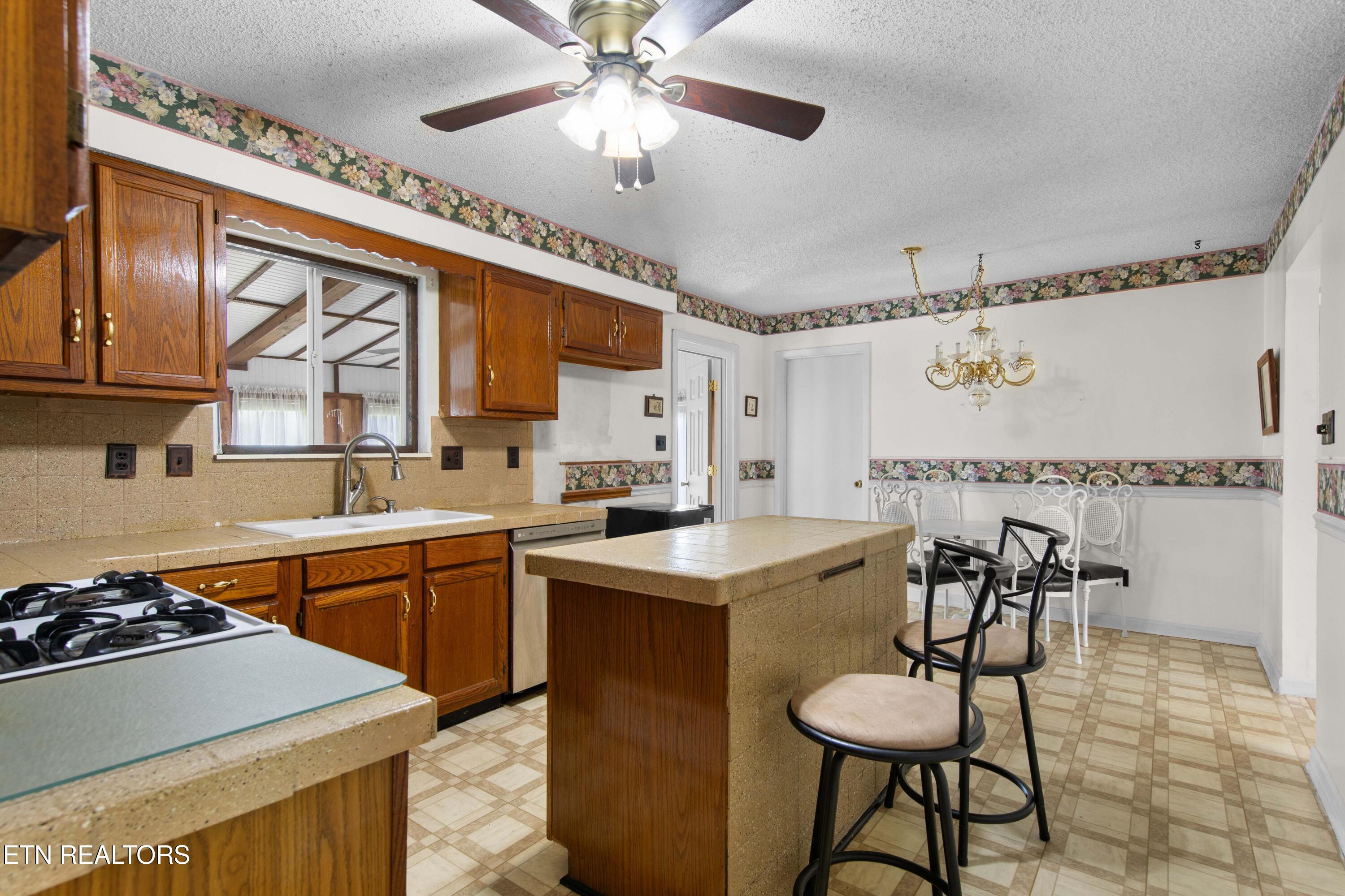 311 Thelma Circle Jacksboro TN 37757