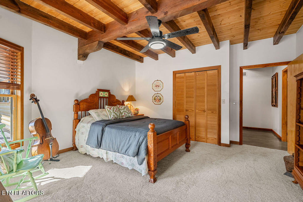 117 Chickasaw Point Ten Mile TN 37880