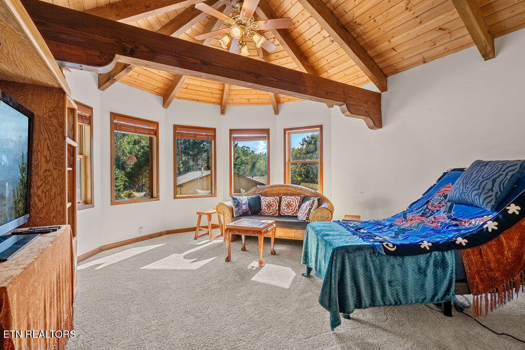 117 Chickasaw Point Ten Mile TN 37880