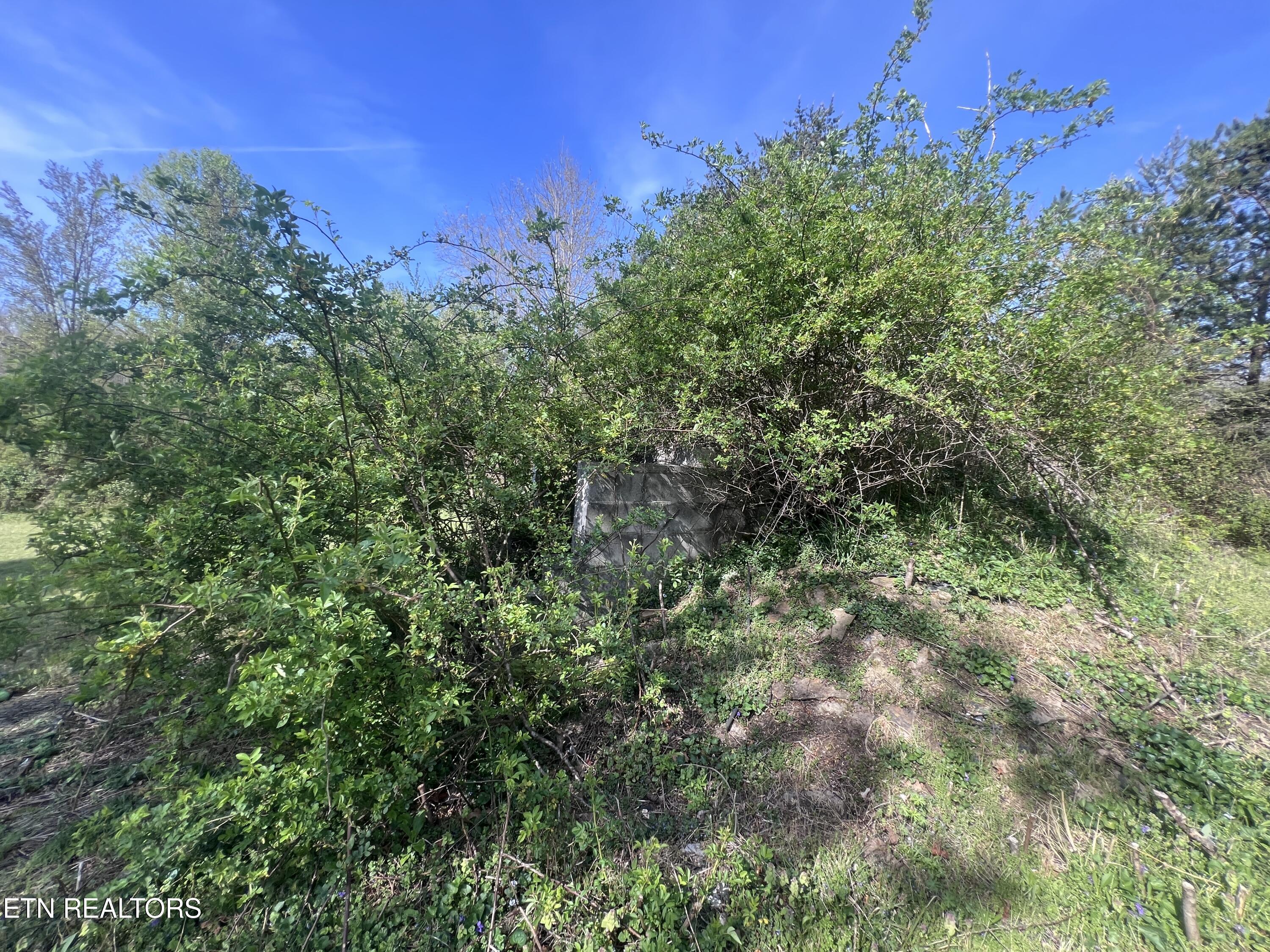 554 Mary Cromwell Road Jamestown TN 38556